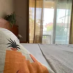 Sofia 2