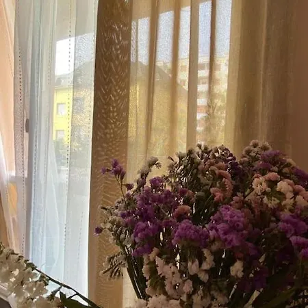 Sofia 2 Apartmán *